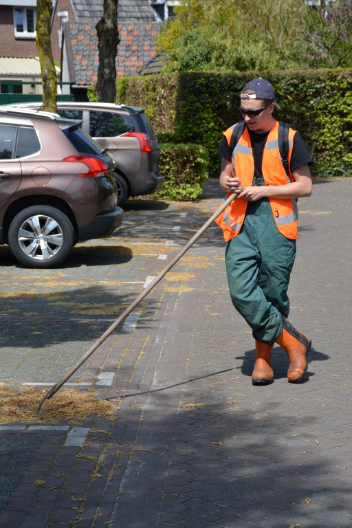 DSC_0761 (Medium).JPG